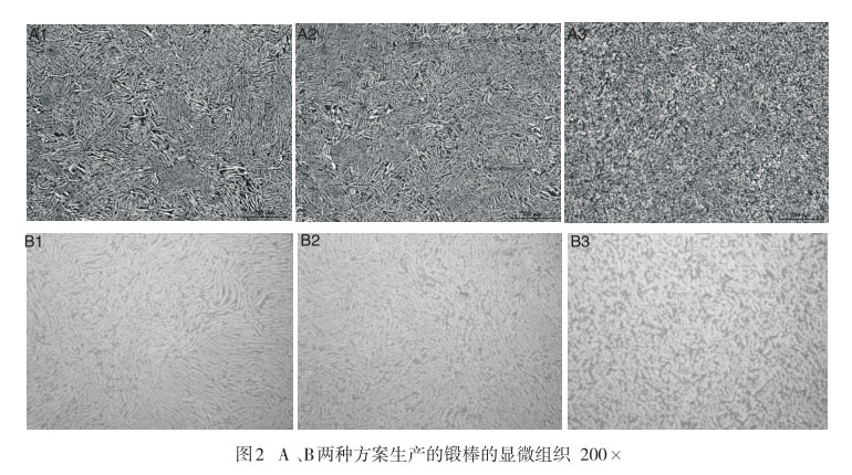 A 、B兩種方案生產(chǎn)的鍛棒的顯微組織